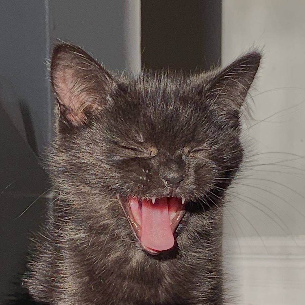 welcome to my poshmark